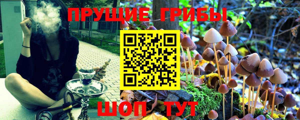 Нефтекамск  где можно купить наркотик  Вход с VPN  Галлюциногенные грибы MAGIC MUSHROOMS 